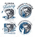 Vintage sheepshead fish emblems. and labels. Vector illustration.