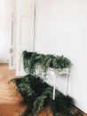 Vintage shelf with green ivy plants in pots on a white wall background