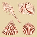 Vintage Shells Set.