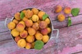 Vintage sieve with apricots on a old wooden purple background with fruits and leaves on the wood, Top view