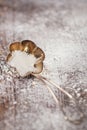 Vintage sieve silver spoon with sugar powder