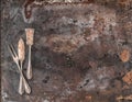Vintage silver cutlery on rustic textured metal background Royalty Free Stock Photo