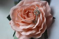 Vintage silver key on rose Bud, vintage retro style, selective focus. Royalty Free Stock Photo