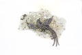 Vintage silver marcasite brooch and crystal beads