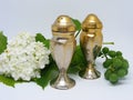 Vintage silver salt and pepper shakers isolated Royalty Free Stock Photo