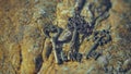 Vintage Skeleton Keys On Rock Stone