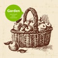 Vintage sketch garden background. Hand drawn design