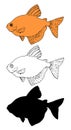 Vector set of isolated Sera Tetra aquarium fish elements, black outline and silhouette and orange color on white background. hand- Royalty Free Stock Photo