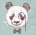 Vintage sketch illustration of panda bear