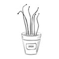 Vintage sketch onion microgreen pots on green background. Food illustration. Vector graphic hand drawn. Fresh organic