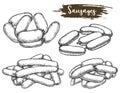 Vintage sketch of tied sausage or line of meat
