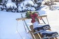 Vintage sled in snow with wreath and red bow and white skates