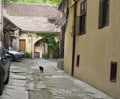 Vintage small alley in Brasov Romania