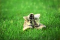 Vintage sneakers resting on the grass Royalty Free Stock Photo