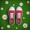 Vintage sneakers standing on green grass Royalty Free Stock Photo