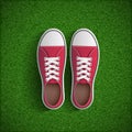 Vintage sneakers standing on green grass.