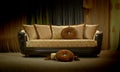 Vintage sofa