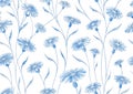 Vintage soft blue floral seamless pattern. Watercolor painting blue daisy flowers with silver contours on white background Royalty Free Stock Photo