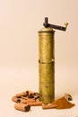 Vintage Spice Grinder Royalty Free Stock Photo