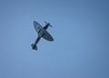 Vintage spitfire aircraft in the skies over Britain