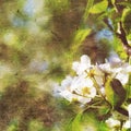 Vintage spring background