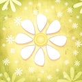 Spring white flower over vintage green background with daisy flo Royalty Free Stock Photo