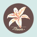 Vintage spring colorful polygon flower illustration