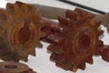 Vintage spur gear with rost