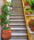 Vintage stairs with flowers in Plaka district, Athens, Greece