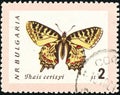 Vintage stamp printed in Bulgaria 1962 shows butterfly