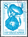 Vintage stamp printed in Bulgaria 1986 shows flowers beach moonflower