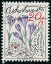 Vintage stamp printed in Czechoslovakia circa 1979 shows 25th Anniversary of Mountain Rescue Service