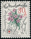 Vintage stamp printed in Czechoslovakia circa 1979 shows 25th Anniversary of Mountain Rescue Service