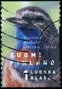 Vintage stamp printed in Finland 1999 show bird