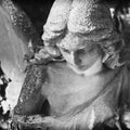 Vintage statue of a sad angel on a cemetery against the background of leaves