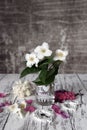 Vintage Still Life Flowers On Rustic White Table