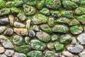 Vintage stone wall covered with lichen