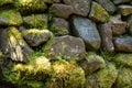 Vintage  stone wall with moss Royalty Free Stock Photo
