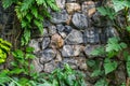 Vintage Stone walls in the botanical