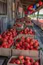 Vintage strawberry boxes at fair warehouse with balloons and carousel summer festival theme Royalty Free Stock Photo