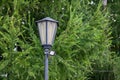 Vintage street lamp against the background of green fir tree with led spotlight, the concept of replacing ancient technologies Royalty Free Stock Photo