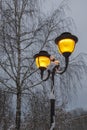 Vintage street lamp against a background of trees without leaves Royalty Free Stock Photo