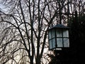 Vintage street lamp and bare trees at winter
