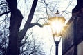 Vintage street lamp and bare trees at winter twilight