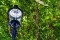 Vintage Street Lamp in front of a tree historic