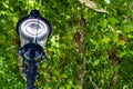 Vintage Street Lamp in front of a tree historic