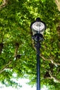 Vintage Street Lamp in front of a tree historic