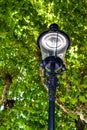 Vintage Street Lamp in front of a tree historic Royalty Free Stock Photo