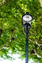 Vintage Street Lamp in front of a tree historic