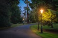 Vintage street lamps illuminating footpath and majestic trees in Farmleigh Phoenix Park, Dublin